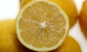 Ein aufgeschnittenes, saftiges Zitronenstück liegt auf ganzen Zitronen. Die Zitronenschale ist gesund und voller Vitamine.