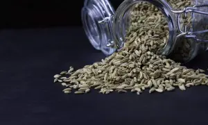Ein Glas mit Fenchelsamen ist umgekippt, und die Samen verteilen sich auf dunklem Untergrund. Die Fenchelsamen Wirkung ist vielfältig.