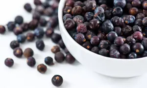 Get creative with your cooking! These dried berries are a great wacholderbeeren ersatz for stews, gin or marinades.