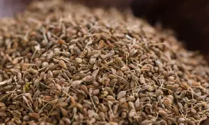 Ein Haufen getrockneter Anissamen. Diese kleinen, braunen Samen sind ein beliebtes Gewürz, das für seinen süßen, lakritzartigen Geschmack bekannt ist. Was ist Anis?