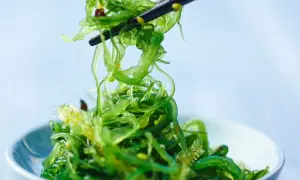 Ein Stäbchen hebt einen Haufen leuchtend grünen Wakame Salat aus einer Schüssel.