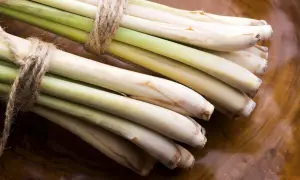 Bündel frisches Zitronengras, gebunden mit Juteschnur. Die zitronengras wirkung ist bekannt für ihr erfrischendes Aroma und ihre vielseitigen Einsatzmöglichkeiten in der Küche und für die Gesundheit.