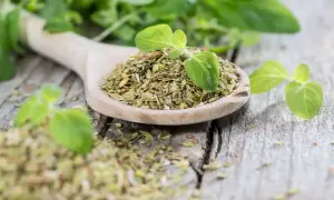 Ein Holzlöffel voller getrocknetem Oregano, daneben frische Blätter. Perfekt für Pizza und Pasta, ob frisch oder getrocknet, Oregano verfeinert jedes Gericht.