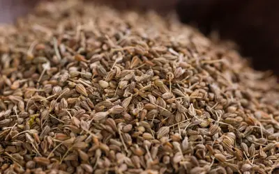 Ein Haufen getrockneter Anissamen. Diese kleinen, braunen Samen sind ein beliebtes Gewürz, das für seinen süßen, lakritzartigen Geschmack bekannt ist. Was ist Anis?