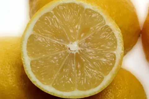 Ein aufgeschnittenes, saftiges Zitronenstück liegt auf ganzen Zitronen. Die Zitronenschale ist gesund und voller Vitamine.