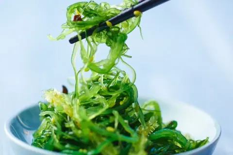 Ein Stäbchen hebt einen Haufen leuchtend grünen Wakame Salat aus einer Schüssel.