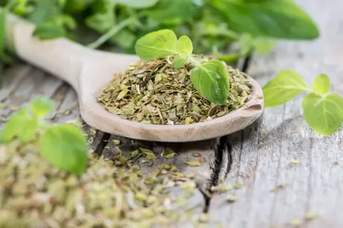 Ein Holzlöffel voller getrocknetem Oregano, daneben frische Blätter. Perfekt für Pizza und Pasta, ob frisch oder getrocknet, Oregano verfeinert jedes Gericht.