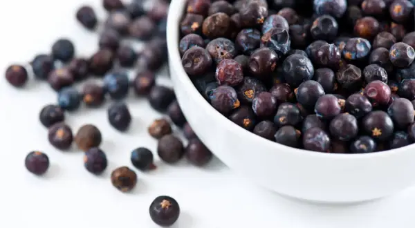 Get creative with your cooking! These dried berries are a great wacholderbeeren ersatz for stews, gin or marinades.
