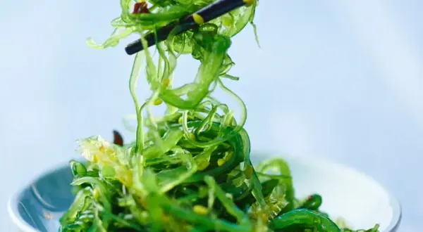Ein Stäbchen hebt einen Haufen leuchtend grünen Wakame Salat aus einer Schüssel.