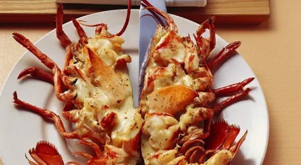 Zwei Hälften Hummer Thermidor, überbacken mit cremiger Sauce und Gewürzen, auf einem Teller angerichtet.