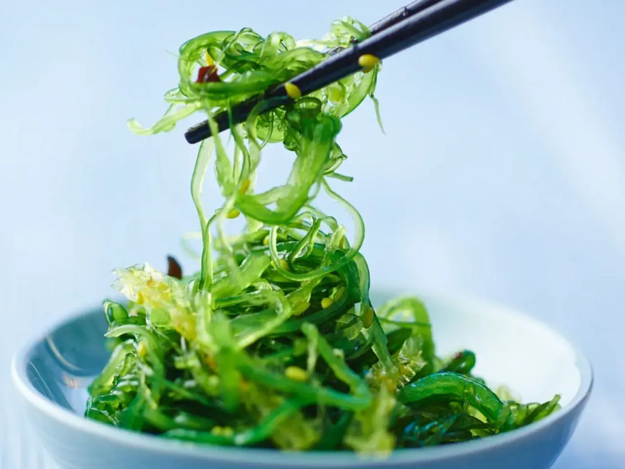 Ein Stäbchen hebt einen Haufen leuchtend grünen Wakame Salat aus einer Schüssel.