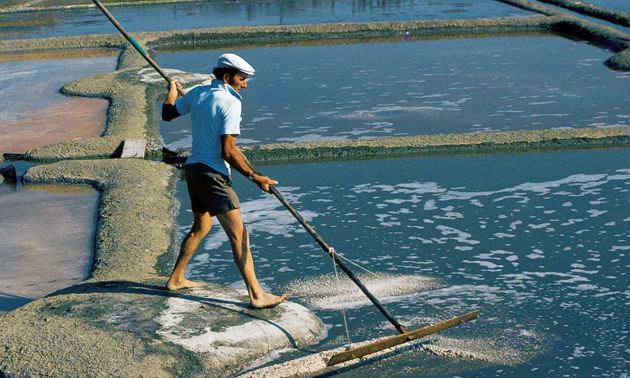 Mann erntet Fleur de Sel, das zarte Salz, das sich auf der Wasseroberfl&auml;che bildet.