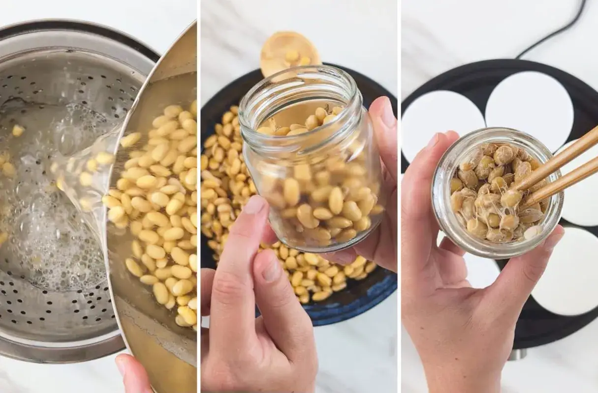 Schritt-für-Schritt-Anleitung, wie man natto selber machen kann: Sojasprossen kochen, in ein Glas füllen und mit Stäbchen fermentieren.