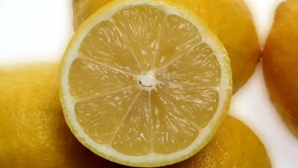 Ein aufgeschnittenes, saftiges Zitronenstück liegt auf ganzen Zitronen. Die Zitronenschale ist gesund und voller Vitamine.