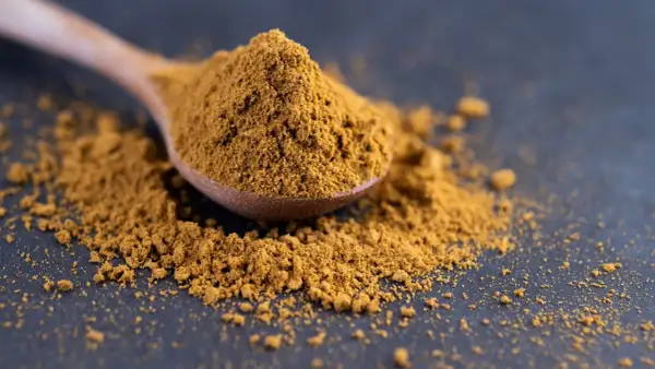 Ein Holzlöffel voller würzigem ras el hanout, das auf dunklem Untergrund verstreut liegt.