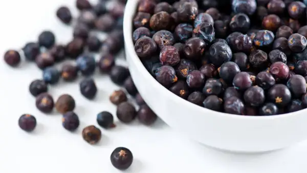 Get creative with your cooking! These dried berries are a great wacholderbeeren ersatz for stews, gin or marinades.