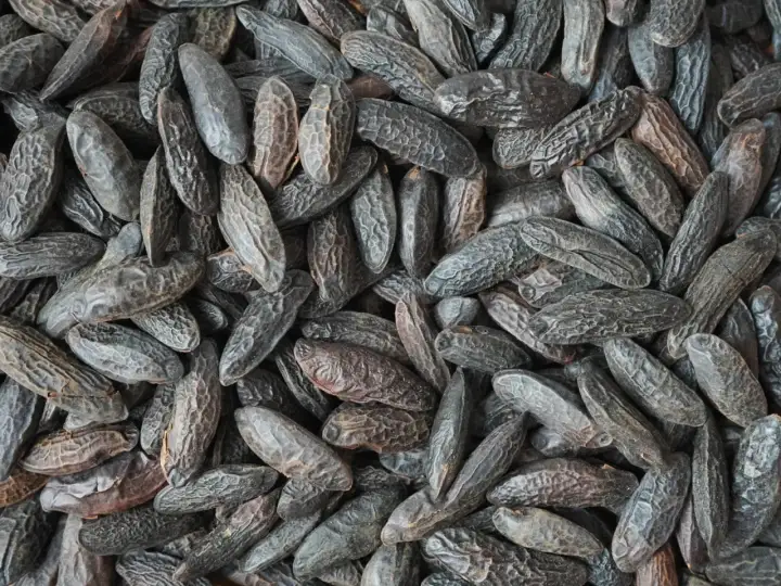 Tonkabohne: Aroma, Dosierung & Anwendung – Dein Guide